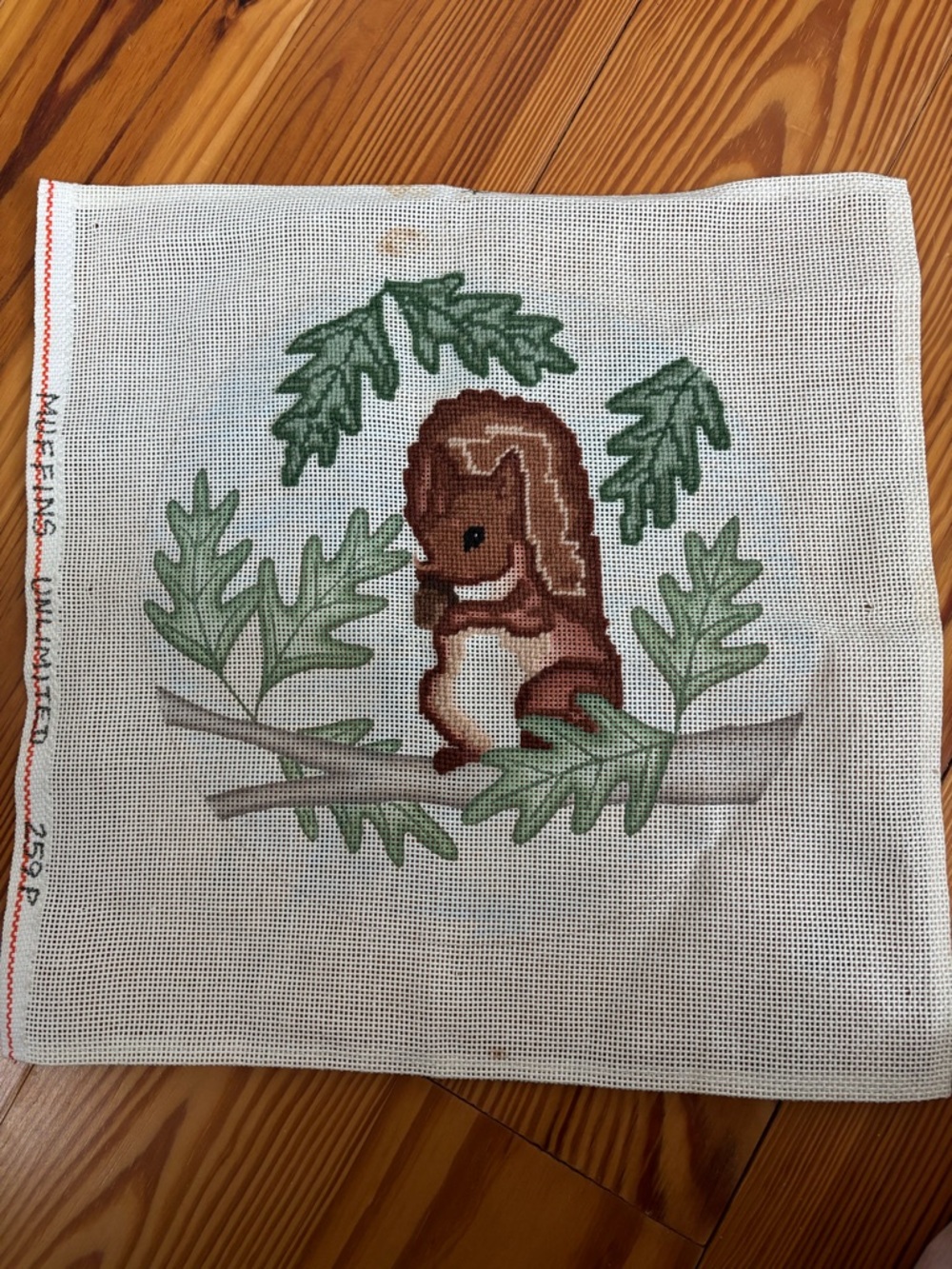 Handpainted Needlepoint Squirrel Canvas with Green Foliage